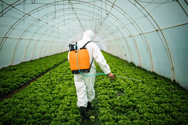 Best Commercial Pest Control Services  in Corry, PA