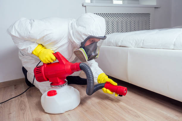 Best Best Pest Control Companies  in Corry, PA