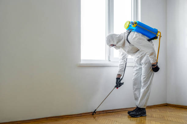 Best Affordable Pest Control Services  in Corry, PA