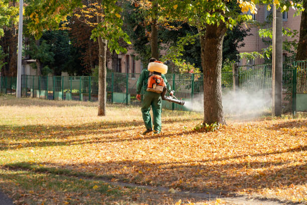 Best Residential Pest Control  in Corry, PA